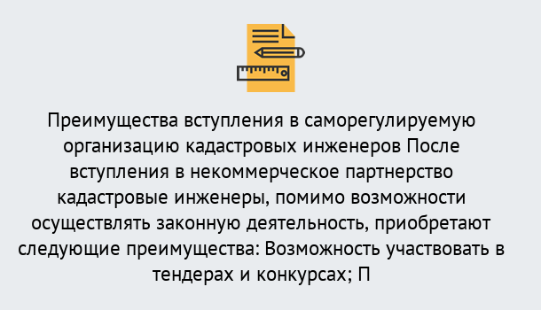 Почему нужно обратиться к нам? Видное Что дает допуск СРО кадастровых инженеров?