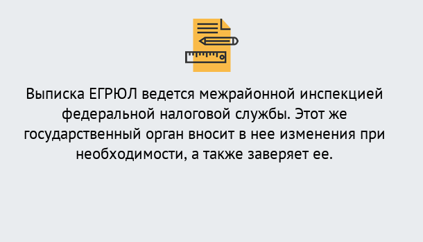 Почему нужно обратиться к нам? Видное Выписка ЕГРЮЛ в Видное ?