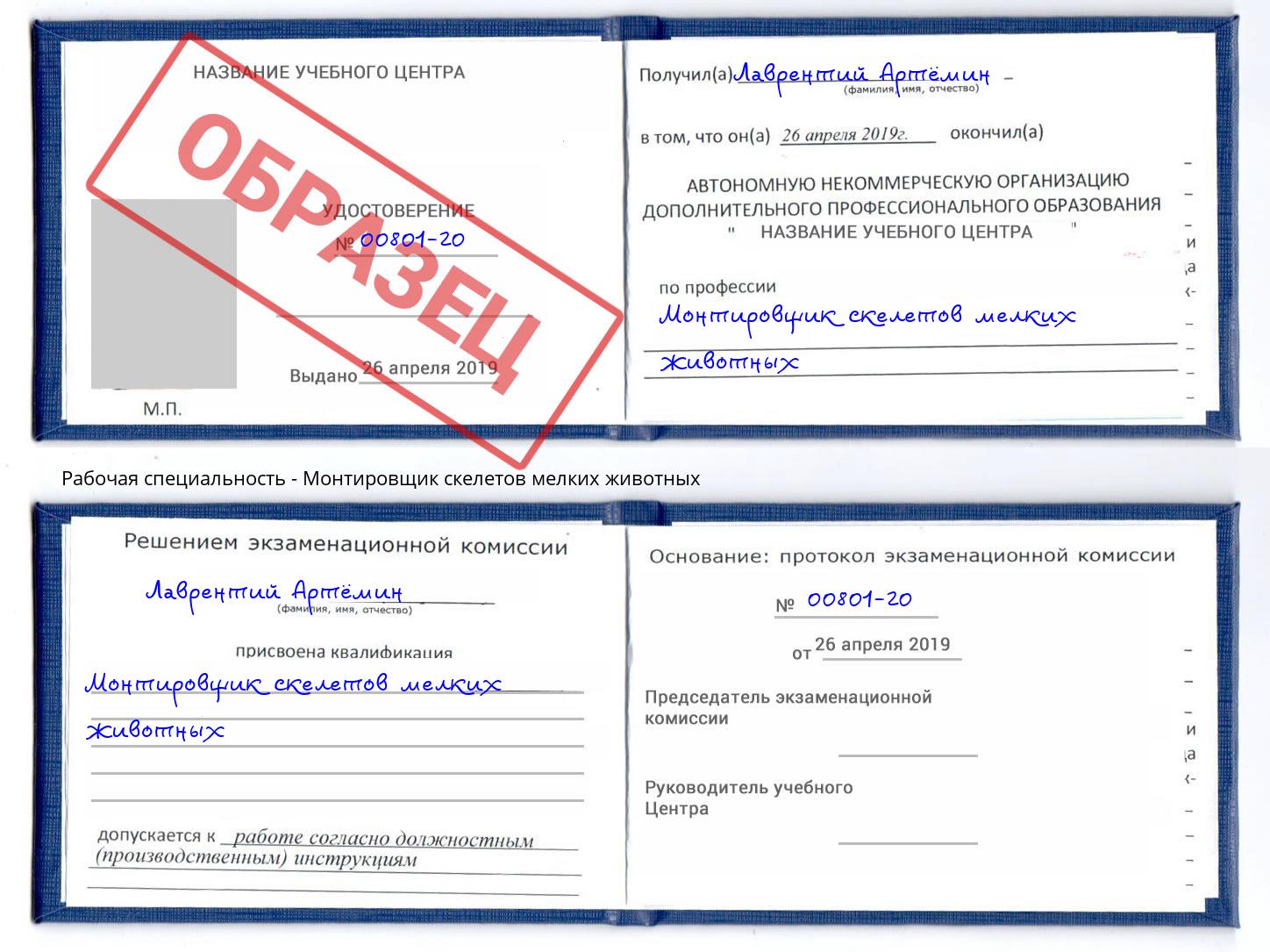 Монтировщик скелетов мелких животных Видное