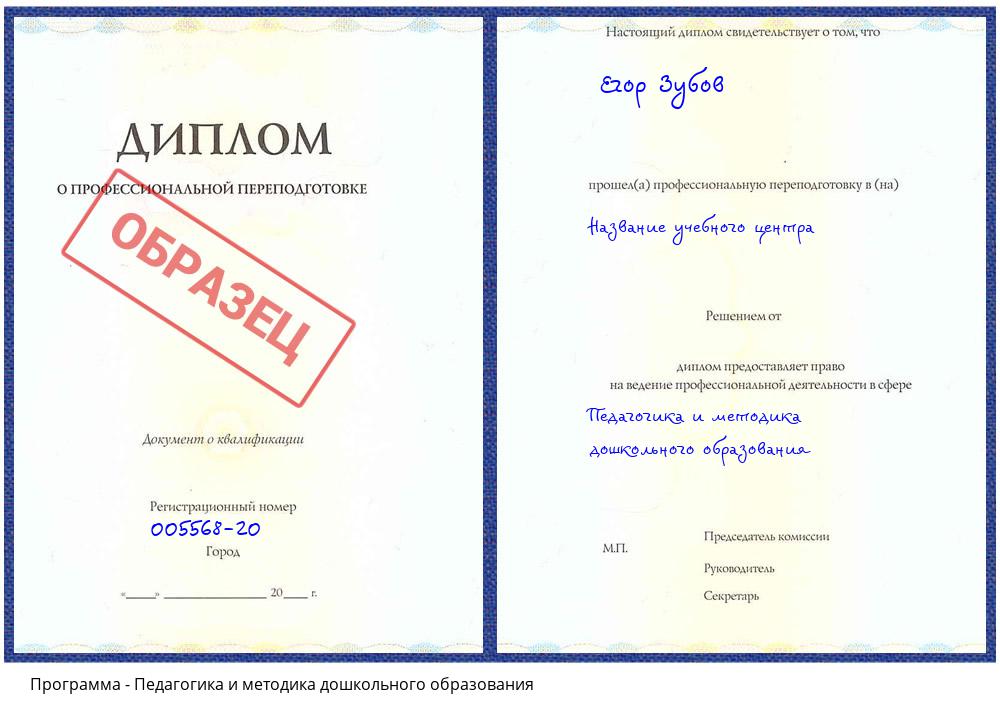 Педагогика и методика дошкольного образования Видное
