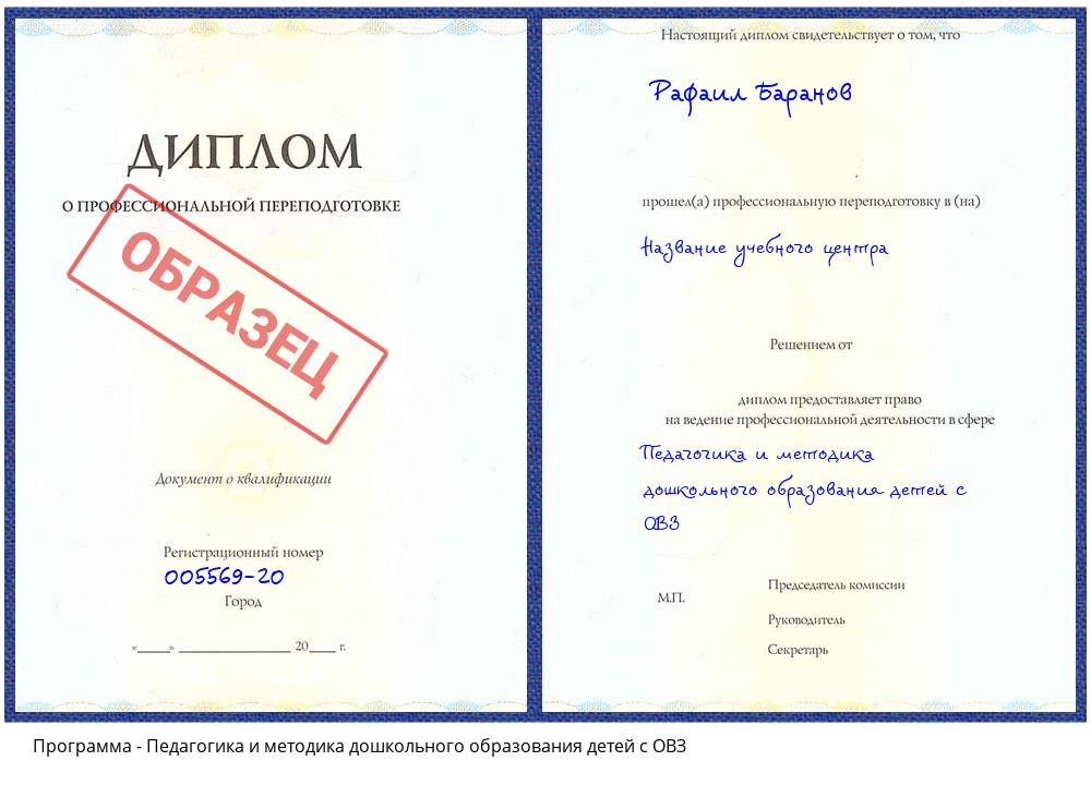 Педагогика и методика дошкольного образования детей с ОВЗ Видное