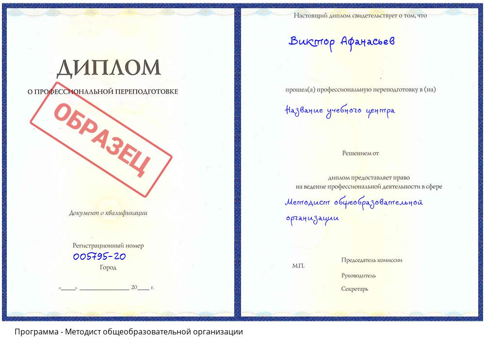 Методист общеобразовательной организации Видное