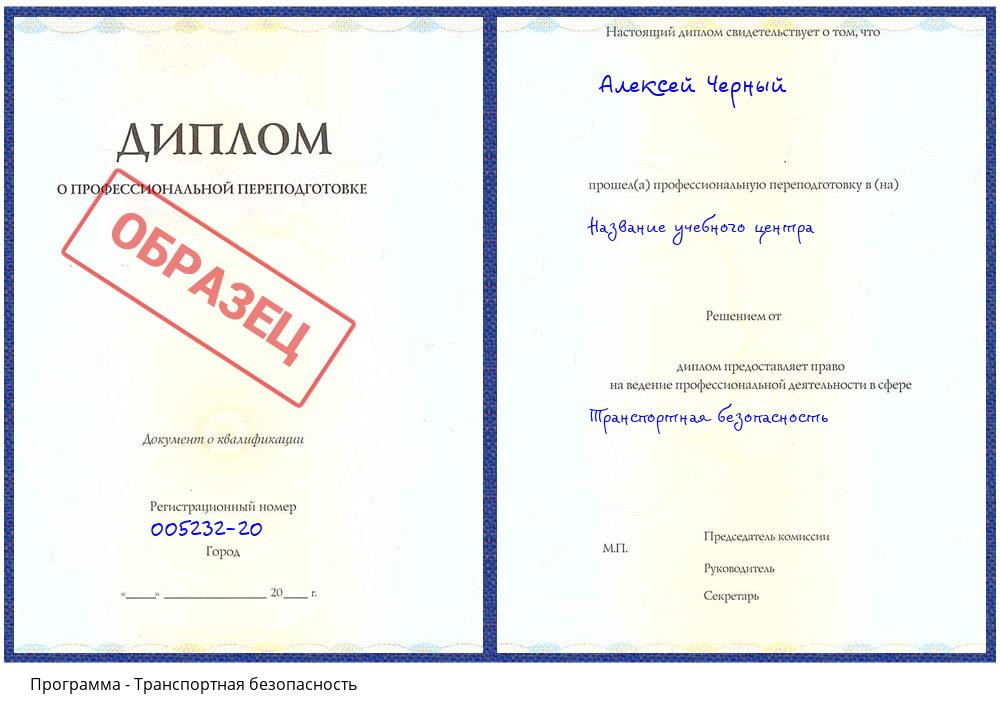 Транспортная безопасность Видное