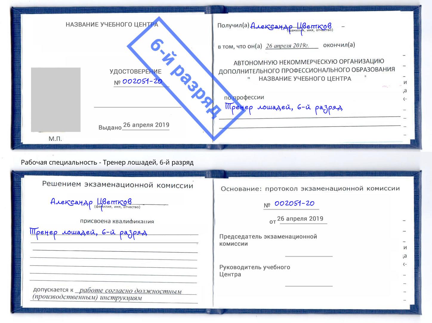 корочка 6-й разряд Тренер лошадей Видное