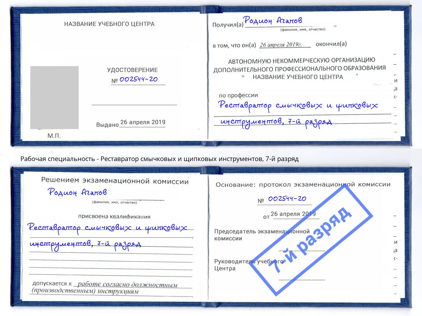 корочка 7-й разряд Реставратор смычковых и щипковых инструментов Видное