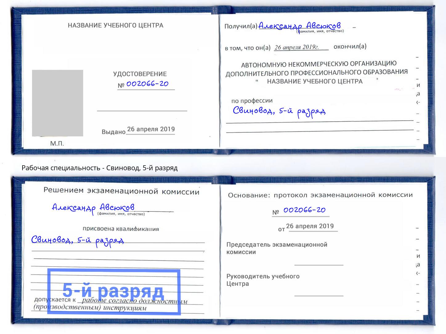 корочка 5-й разряд Свиновод Видное