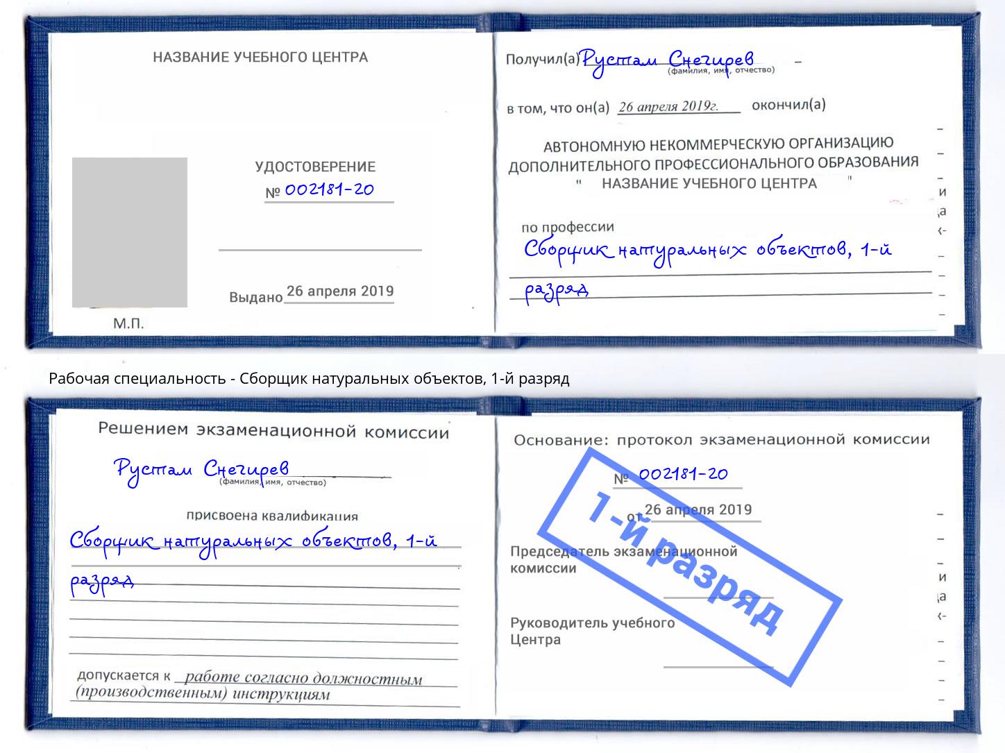 корочка 1-й разряд Сборщик натуральных объектов Видное