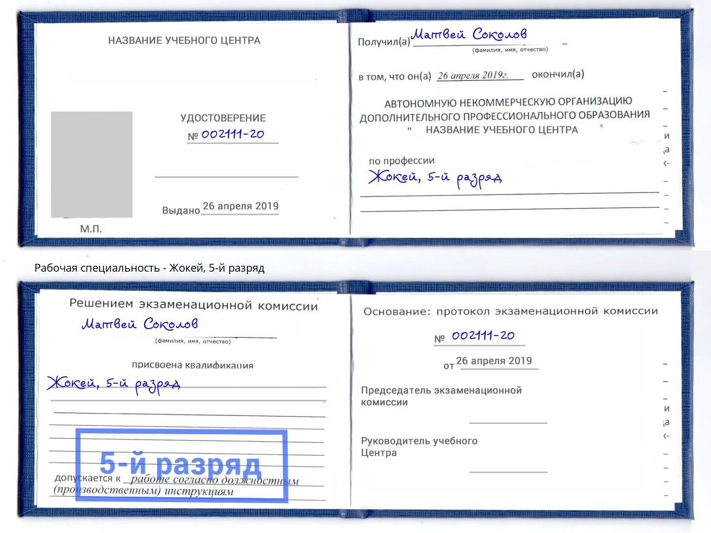 корочка 5-й разряд Жокей Видное